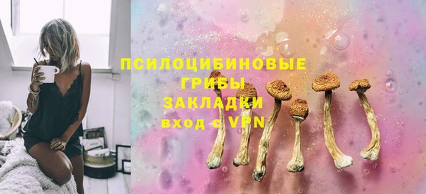 mdma Бородино